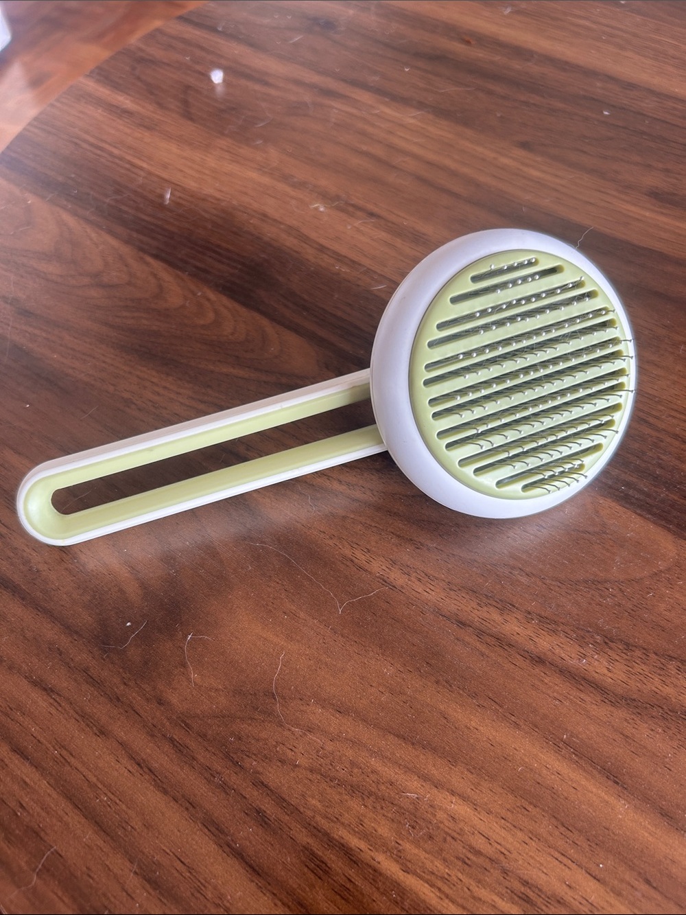 Cat brush